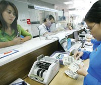 Năm 2009, tổng khối lượng phát hành trái phiếu ngoại tệ dự kiến lên tới 1 tỷ USD.