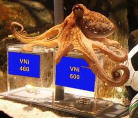 Phỏng vấn bạch tuộc