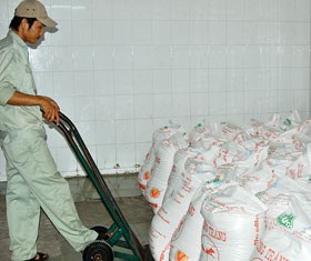 Quý III là thời gian mía đường Việt Nam vào vụ