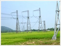 SSM đạt 3 tỷ đồng lợi nhuận sau thuế quý III