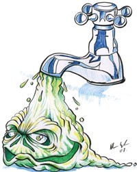 Chuyện “người cắn chó”…