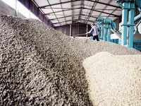 Mỗi sàn giao dịch hàng hóa thành công thường gắn với một mặt hàng thuộc thế mạnh quốc gia
