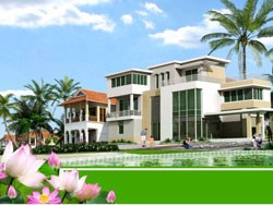 CDO đặt kế hoạch doanh thu 120 tỷ đồng   6 tháng cuối năm