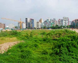 Một trong những phần đất bị để hoang trên địa bàn Hà Nội
