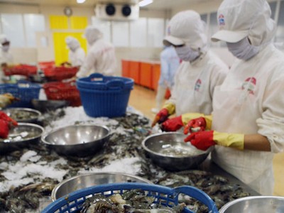 VN sẽ đấu tranh tích cực để bảo vệ các quyền lợi của nhà xuất khẩu