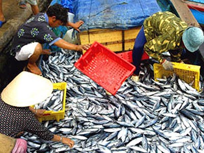 Thương nhân Trung Quốc gom hàng bất chấp chất lượng là điều không bình thường, cần phải cảnh giác