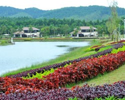 Mở bán Flamingo Villa 3