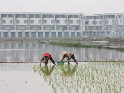 Giá đất nông nghiệp 2012 được giữ nguyên mức cũ. 