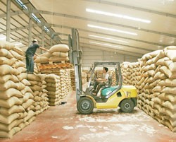 Theo thống kê của PlacementTracker, các cổ phiếu do Quỹ Haverstock Master Fund đầu tư đều giảm giá trung bình 54% sau một năm Quỹ này đầu tư