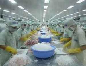 HVG: Sẽ vượt 10% kế hoạch lợi nhuận năm