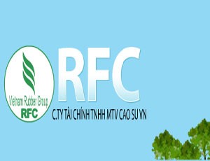 Bắt giam nguyên Giám đốc Công ty Tài chính Cao su