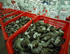 Xuất khẩu tôm quý III ước đạt giá trị 690 triệu USD