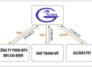 Sở hữu chéo và những câu hỏi