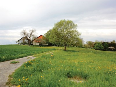 Tổ ấm cho người!