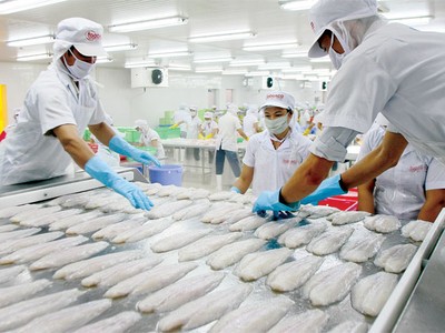 Mỹ tăng thuế với cá tra Việt Nam: Tổn thương DN lớn, cơ hội cho DN nhỏ