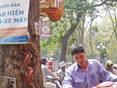 Xử lý vi phạm bảo hiểm, cơ quan quản lý “đau đầu”