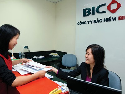 Bảo hiểm phi nhân thọ lạc quan sớm