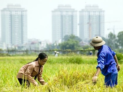 6 tháng, Ủy ban Pháp luật của Quốc hội nhận gần 1.200 đơn thư