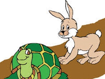 Bài học từ rùa và thỏ