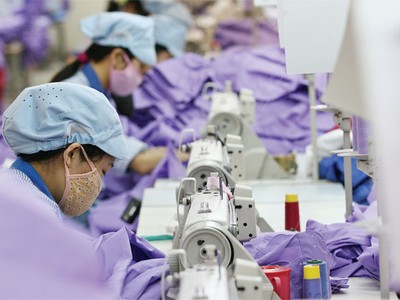 Trốn bảo hiểm xã hội, xử lý cách nào?