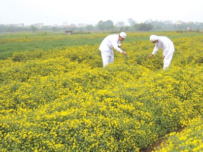 TRA và chiến lược M&A thân thiện