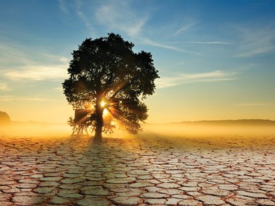 TDH sẽ điều chỉnh căn hộ lớn sang căn hộ nhỏ