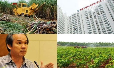 Hết BĐS, đến ngành đường sốc vì bầu Đức