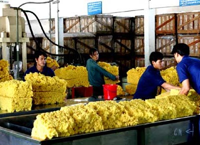 Quý I/2014, PHR đặt mục tiêu lãi 70 tỷ đồng 