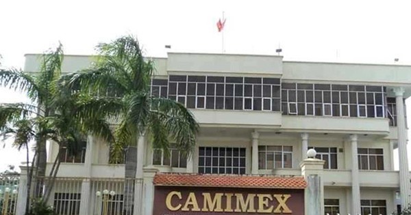 Camimex Group (CMX): Cổ phiếu liên tục tăng trần, Kế toán trưởng muốn bán toàn bộ hơn 3...