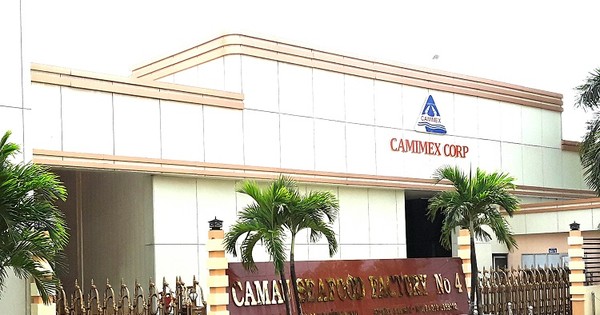 Camimex (CMX): Cổ đông có bị “đánh cắp” quyền lợi?