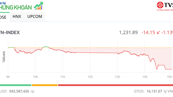 Lực bán gia tăng, thị trường giảm mạnh trong phiên chiều 14/11