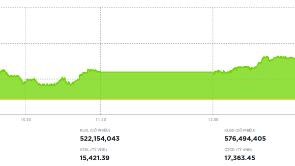 VN-Index tăng hơn 13 điểm nhờ một số mã trụ khởi sắc