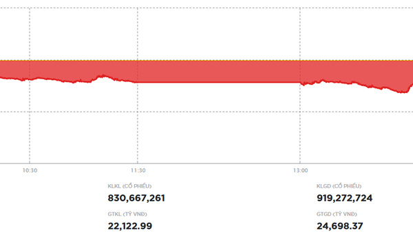 Nhà đầu tư bán ra mạnh hơn, thị trường tiếp tục giảm trong phiên ngày 12/12