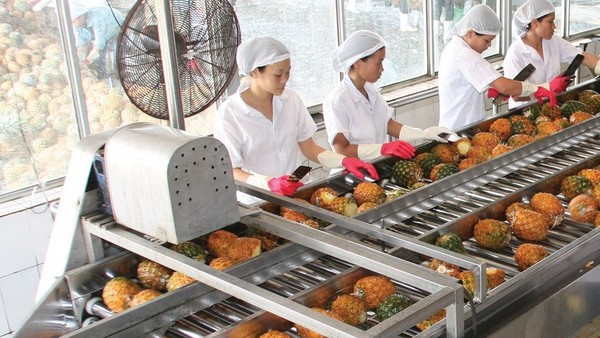 Afiex (AFX) sẽ chính thức giao dịch trên HOSE vào ngày 8/12 với giá tham chiếu 11.300 đồng/cổ phiếu