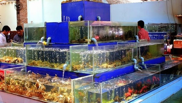 Bộ Tài chính: Có hộ kinh doanh đạt doanh thu lên đến 560 tỷ đồng/năm 