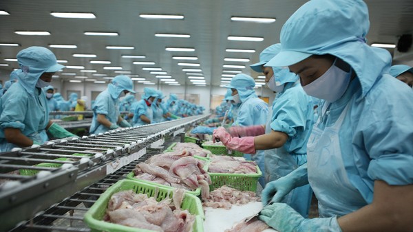 Từ ngày 7/8/2025, Mỹ áp thuế đối ứng 20% với thủy sản Việt Nam