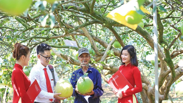 Tính đến 30/9/2025, dư nợ tín dụng xanh của Agribank đạt 28.355,5 tỷ đồng