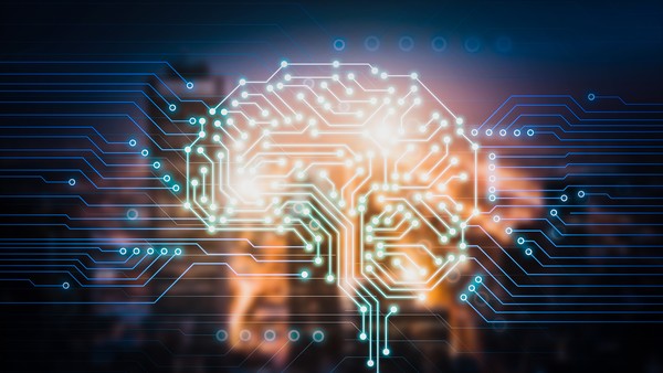 Ảnh: Shutterstock.