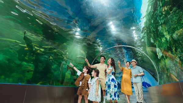 Thuỷ cung tại Công viên Thiên Đường Bảo Sơn luôn rất cuốn hút với du khách.