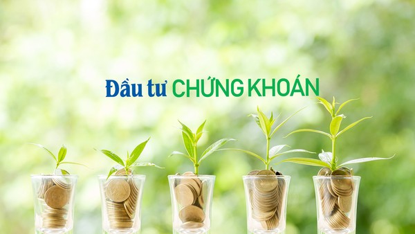 Ảnh: Shutterstock.