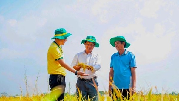 Phân bón Dầu khí Cà Mau (DCM) đặt kế hoạch lợi nhuận sau thuế 1.200 tỷ đồng, cổ tức 10% trong 2026