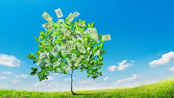 Top 10 cổ phiếu tăng/giảm mạnh nhất tuần: Các cổ phiếu dầu khí khởi sắc