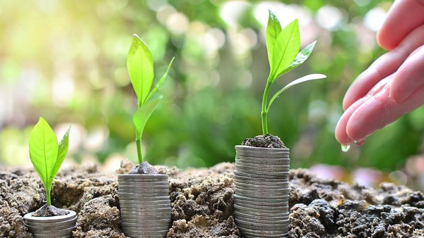 Top 10 cổ phiếu tăng/giảm mạnh nhất tuần: Nhóm cổ nhiếu nhà Gelex bay cao