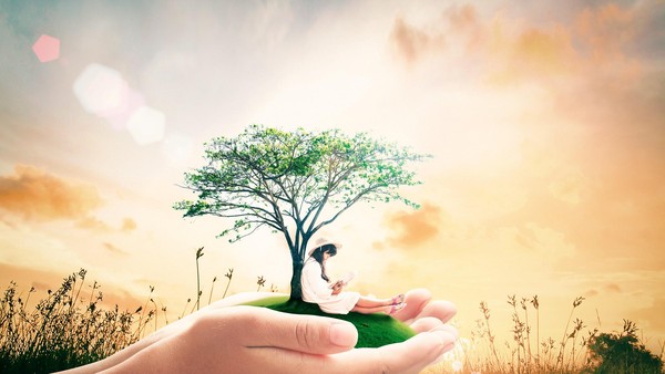 Top 10 cổ phiếu tăng/giảm mạnh nhất tuần: Cổ phiếu bất động sản có dấu hiệu khởi sắc