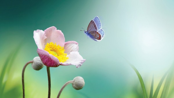 Dòng tiền thông minh luôn biết chọn đúng địa chỉ để chảy vào.