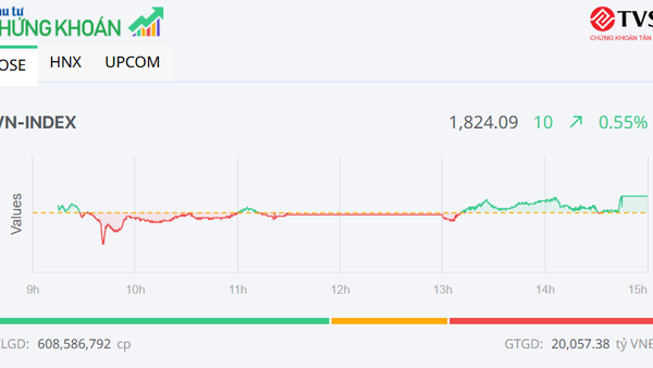 Nhóm Gelex khởi sắc, VN-Index tăng 10 điểm trong phiên cuối cùng của năm Âm lịch Ất Tỵ