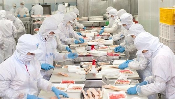 Nam Việt (NAV) chi tạm ứng cổ tức đợt 1 năm 2026 tỷ lệ 8% bằng tiền