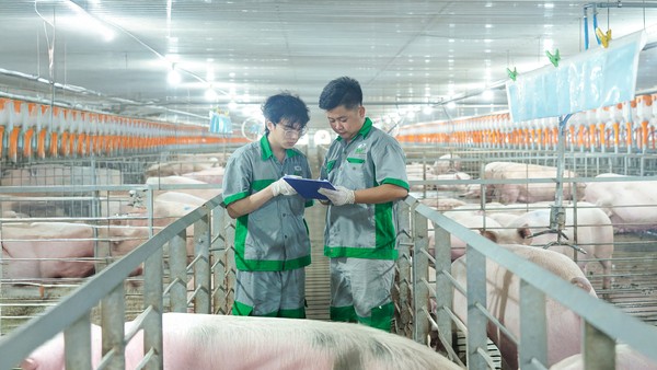 BAF Việt Nam (BAF) thực hiện chia cổ tức 10% và phát hành cổ phiếu thưởng, tỷ lệ 10%