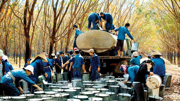 Cổ phiếu cần quan tâm ngày 9/10
