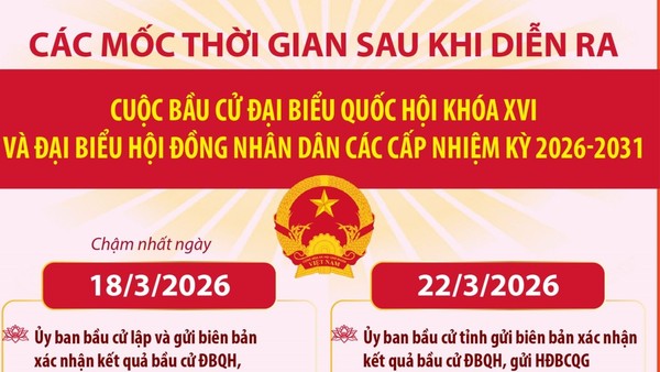 Bầu cử Quốc hội và HĐND: Các mốc thời gian sau khi diễn ra cuộc bầu cử